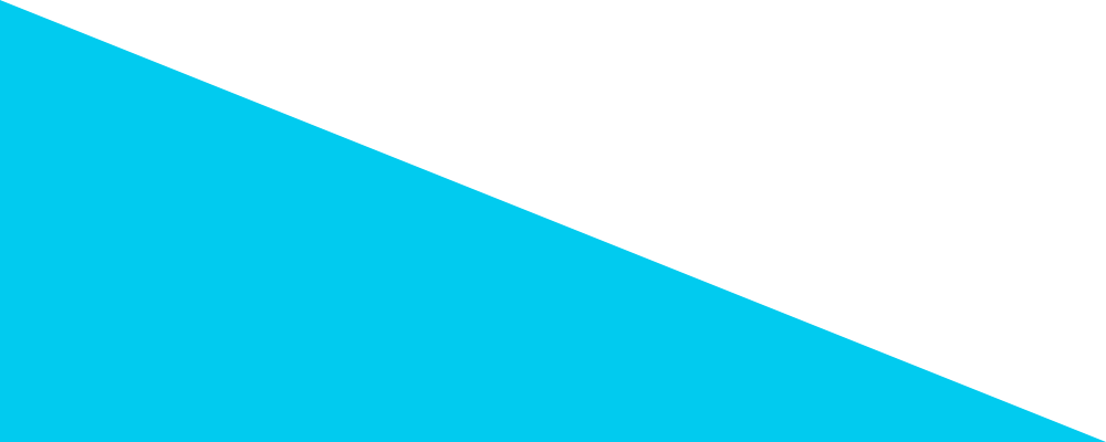 TOP三角背景画像2