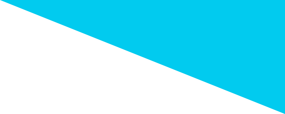 TOP三角背景画像1